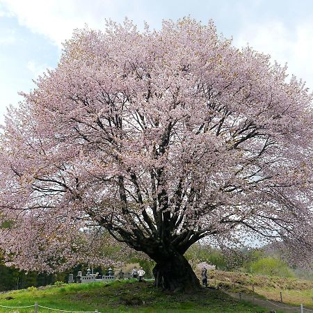Pension Green Field Katashina Eksteriør billede