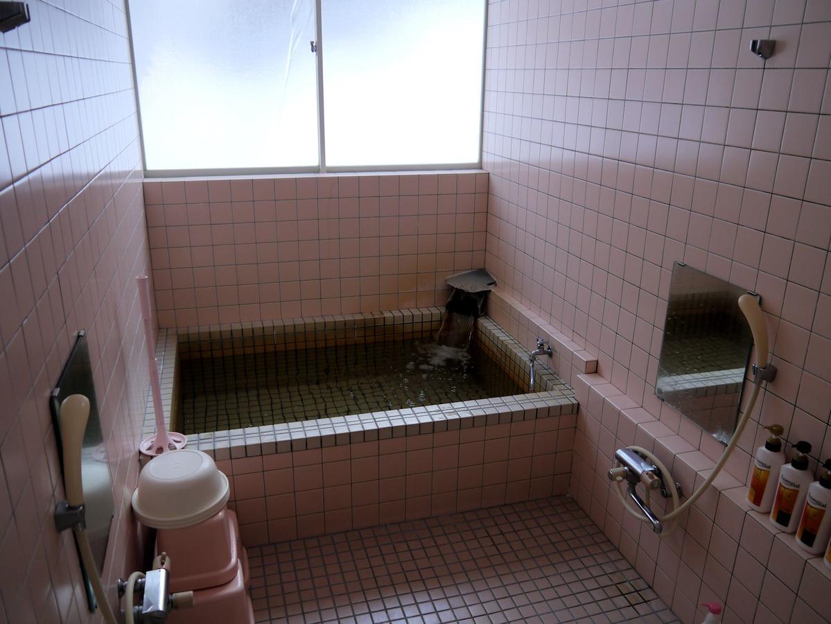 Pension Green Field Katashina Eksteriør billede