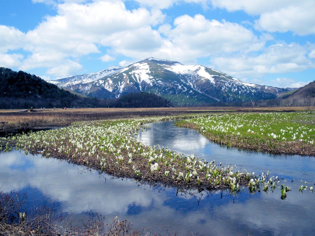 Pension Green Field Katashina Eksteriør billede